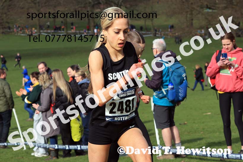 Womens Under-20s, 2024 CAU Inter Counties Cross Country Champs., Wollaton Park, Nottingham. Photo: David T. Hewitson/Sports for All Pics
